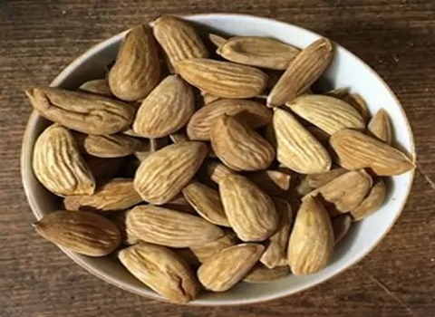 تصویر 4 از قیمت خرید بادام مامایی اصفهان با فروش عمده